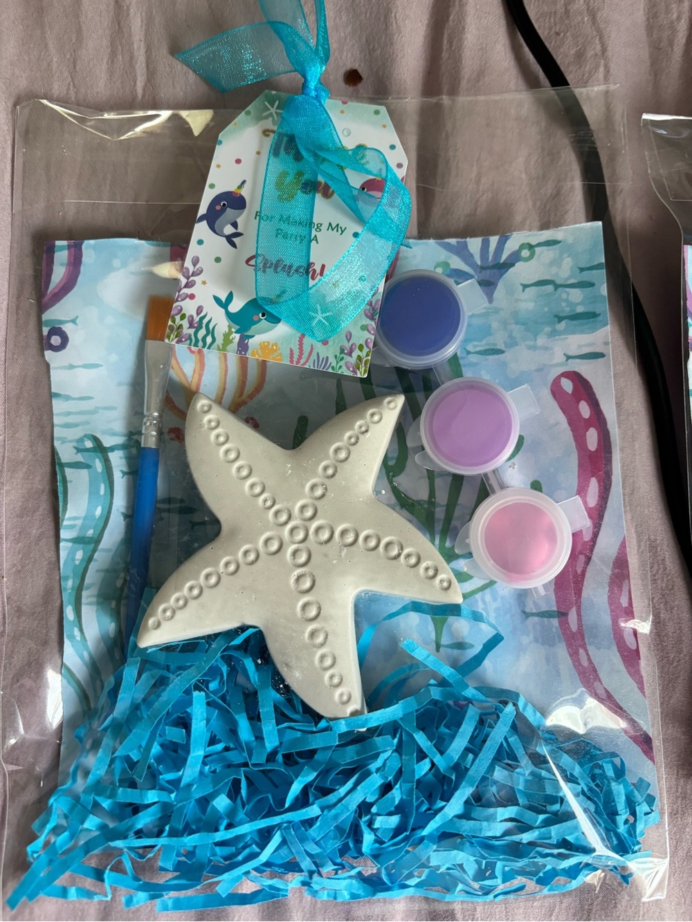 Ocean Starfish Paint-Your-Own Party Favor Kit - Blue